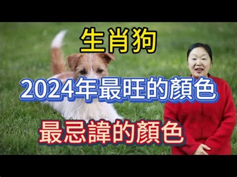 屬狗適合什麼水晶|2024屬狗年運勢：化解太歲必備水晶指南 